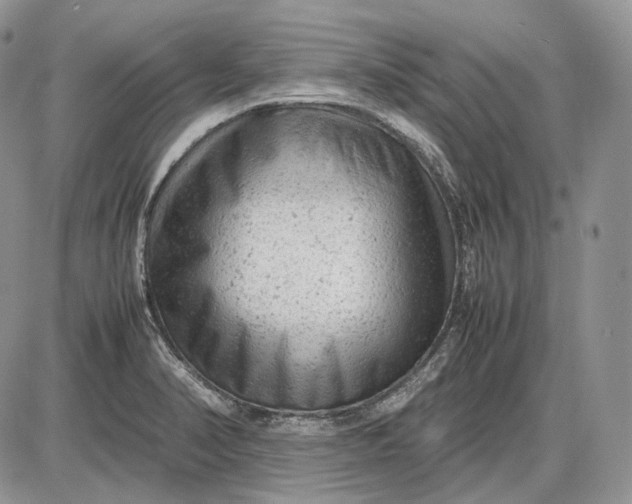 X0000085011374200703191104