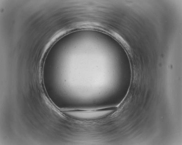 X0000085011384200703191104