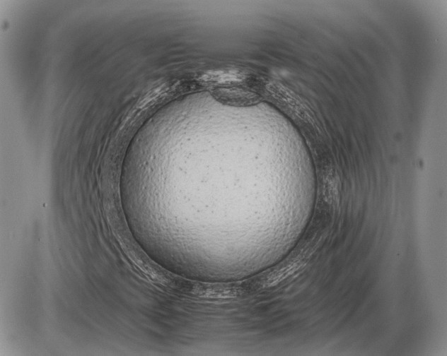 X0000085011393200703191103