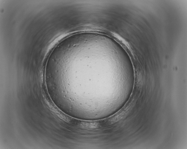 X0000085011415200703191104