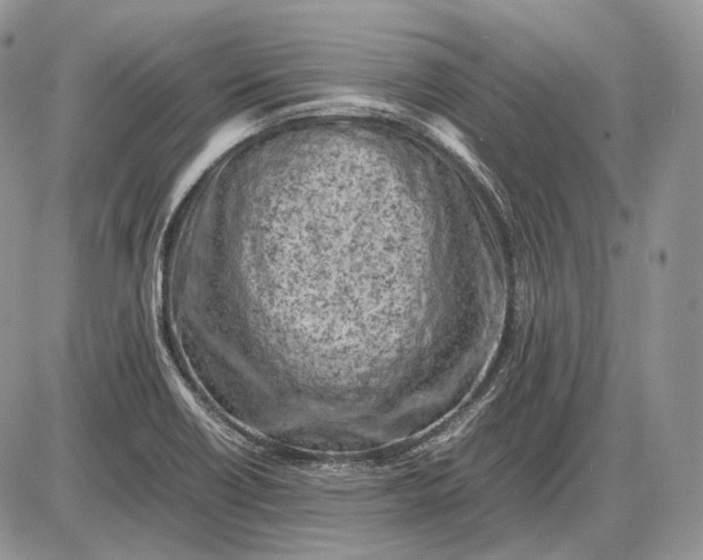 X0000085011418200703191104