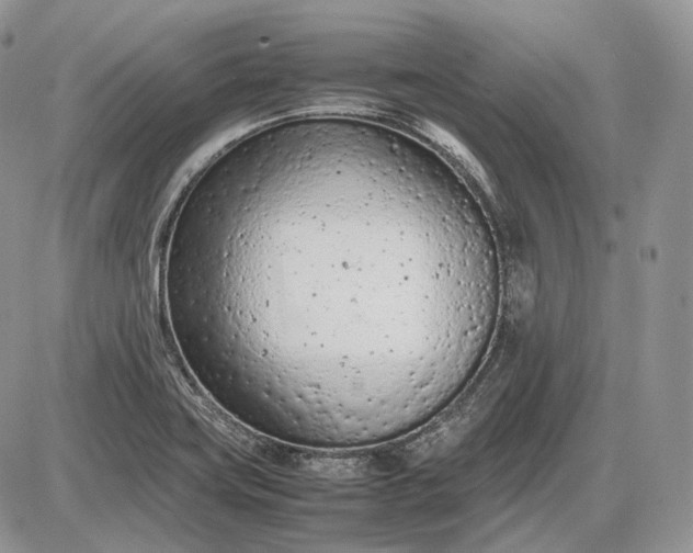 X0000085011419200703191104