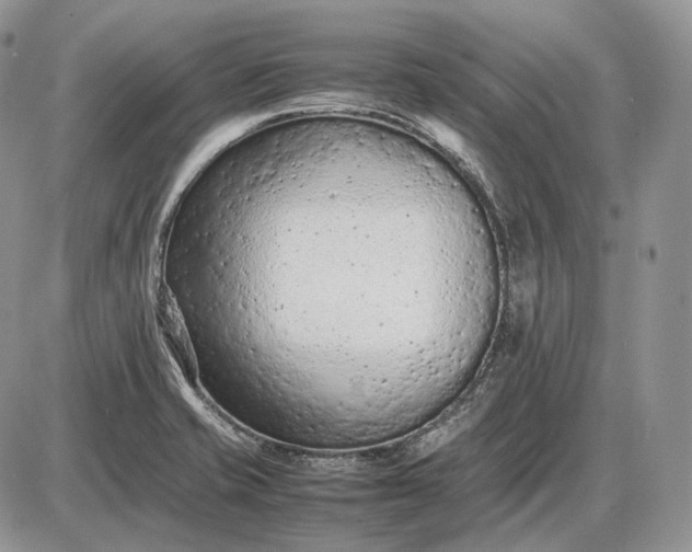 X0000085011421200703191104