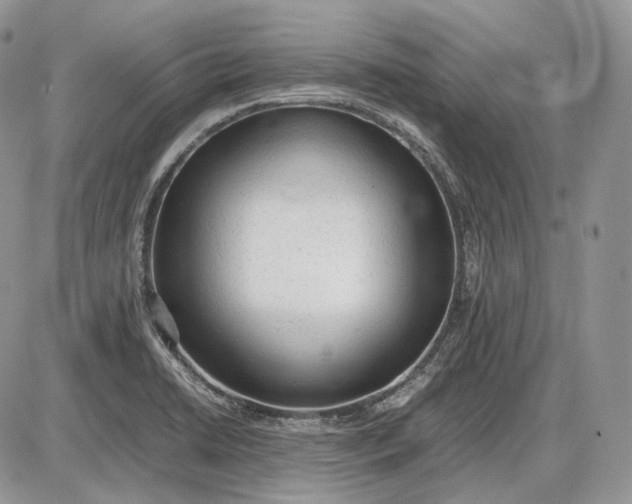 X0000085011422200703191104