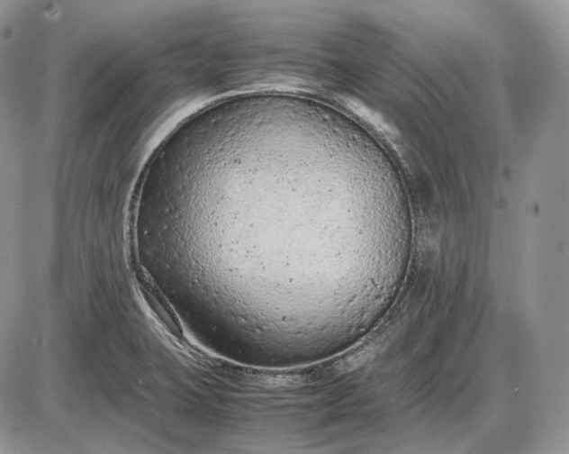 X0000085011423200703191104