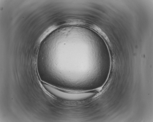 X0000085011425200703191104