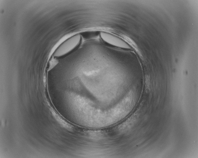 X0000085011428200703191104