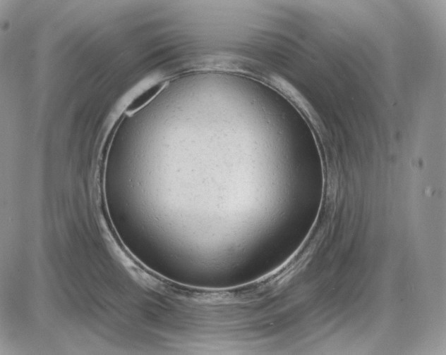 X0000085011434200703191104