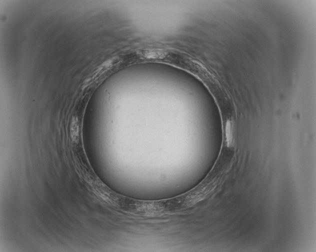 X0000085011443200703191103