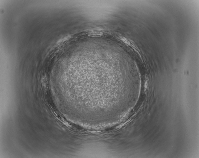 X0000085011445200703191103