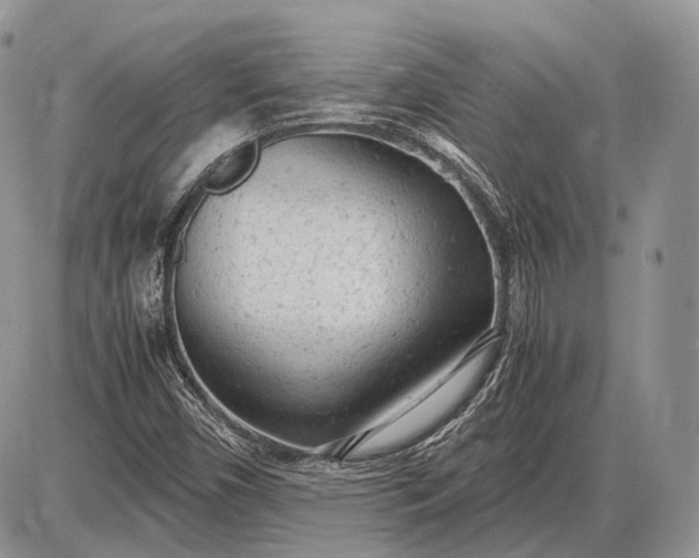 X0000085011450200703191103