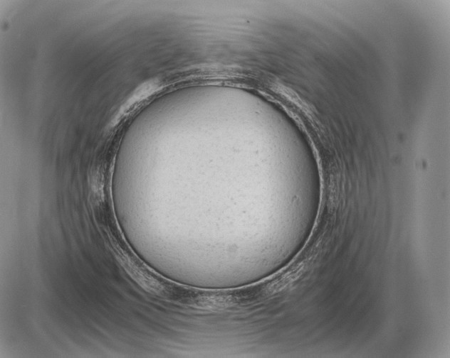 X0000085011451200703191103
