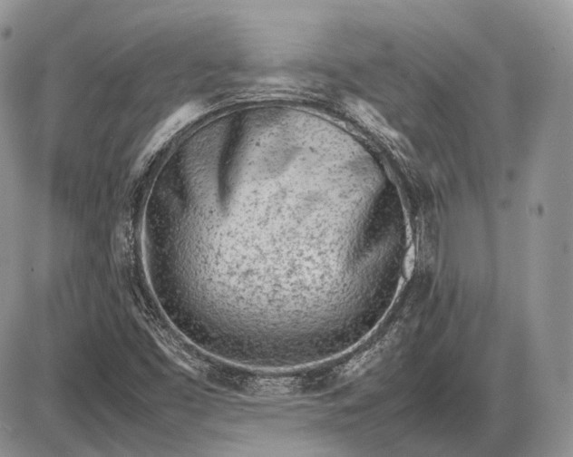 X0000085011453200703191103