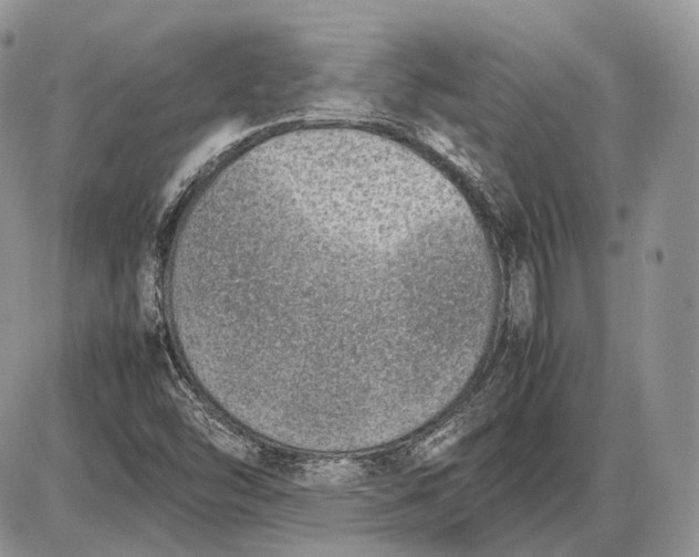 X0000085011454200703191103