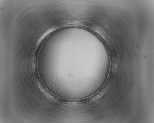 X0000085011458200703191103