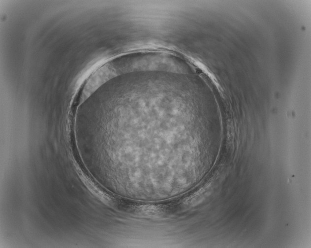 X0000085011463200703191103