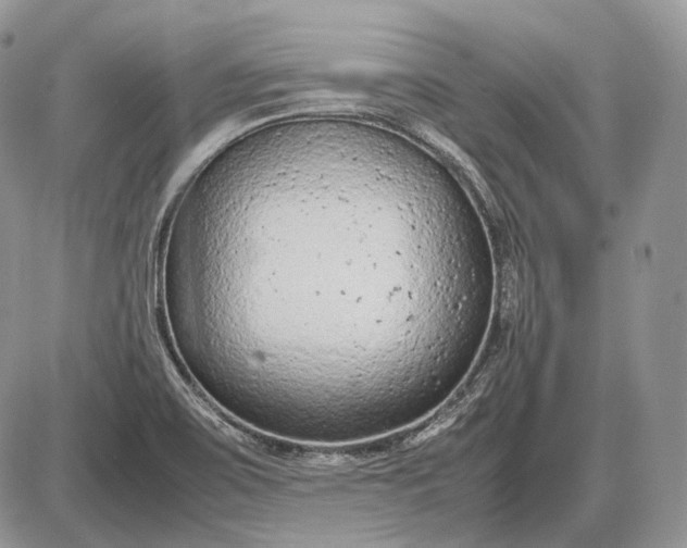 X0000085011467200703191103
