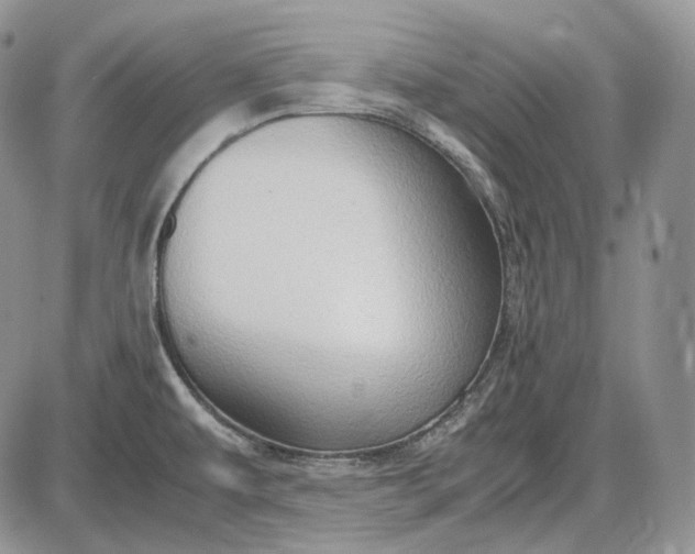 X0000085011479200703191103