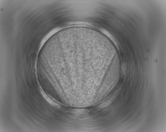 X0000085011482200703191103
