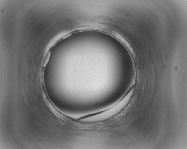 X0000085011485200703191103