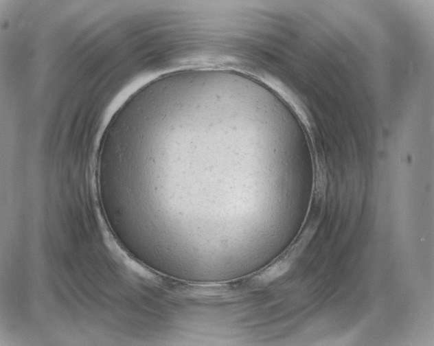 X0000085011486200703191103