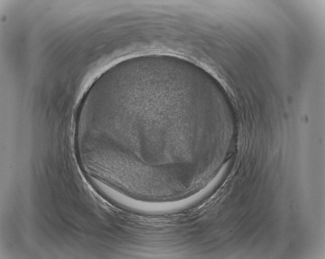 X0000085011508200703191102