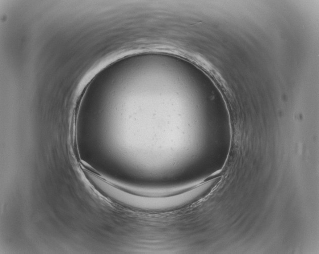 X0000085011520200703191102