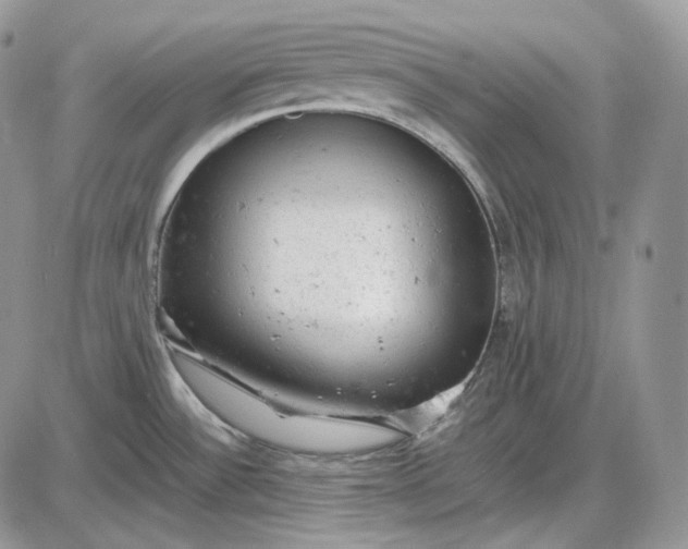 X0000085011532200703191102