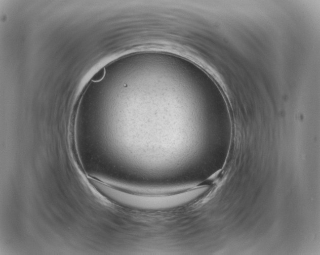 X0000085011533200703191102