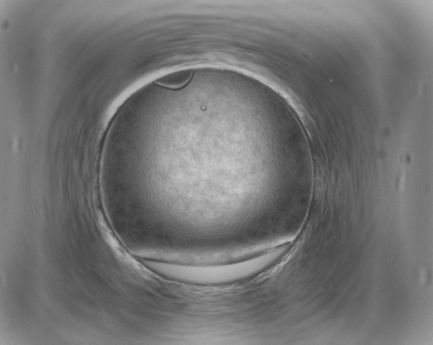 X0000085011534200703191102
