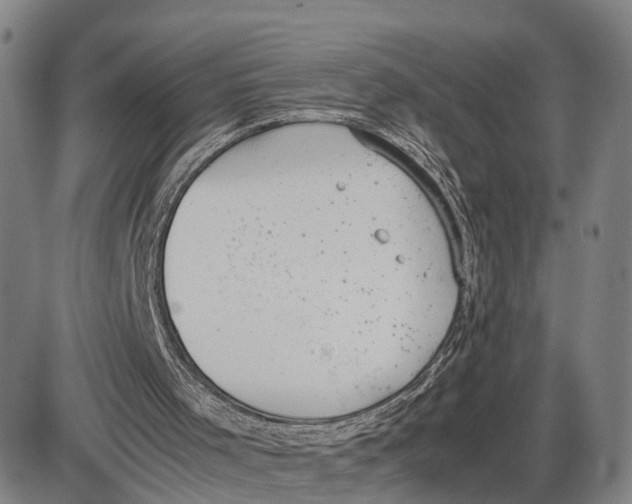 X0000085010001200703261207