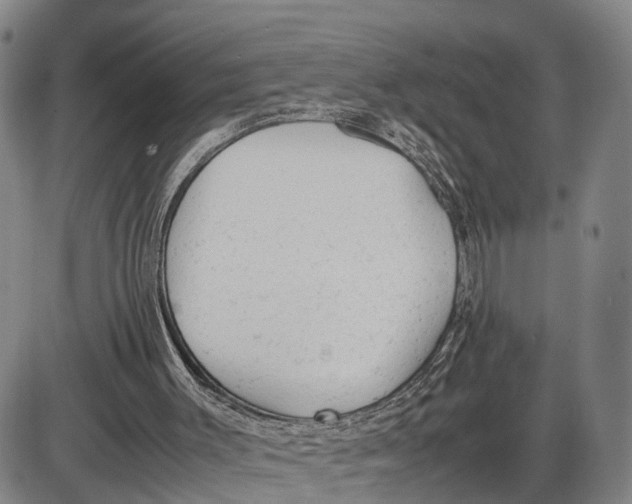 X0000085010003200703261207