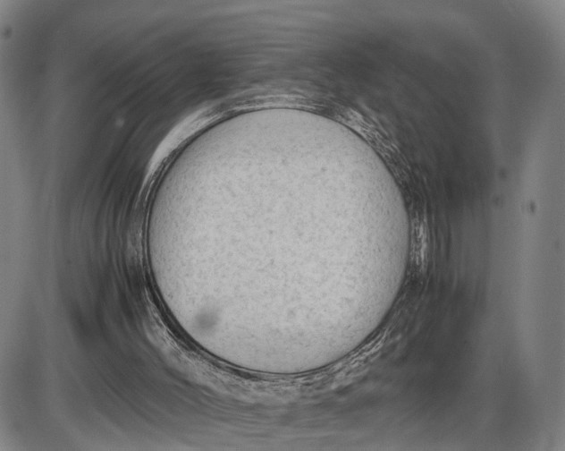 X0000085010004200703261207