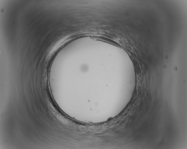 X0000085010005200703261207