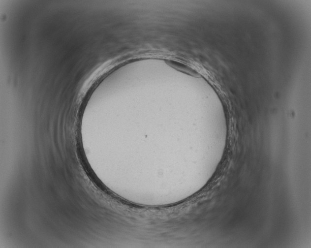 X0000085010007200703261207