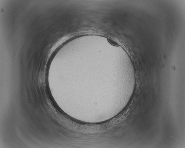 X0000085010008200703261207