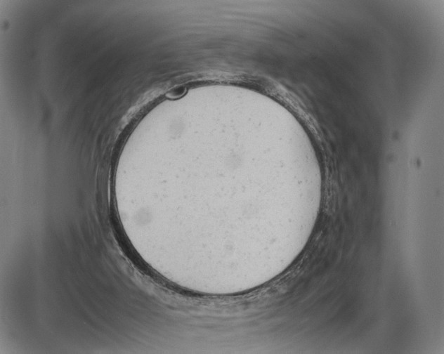 X0000085010011200703261207