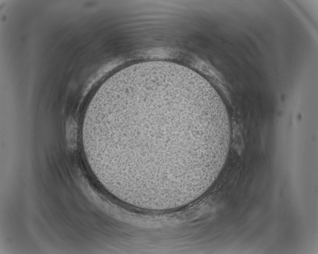 X0000085010012200703261207