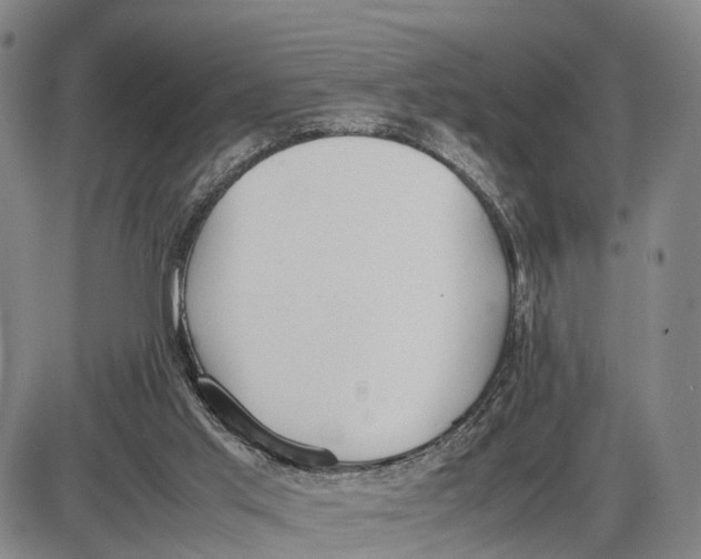 X0000085010013200703261207