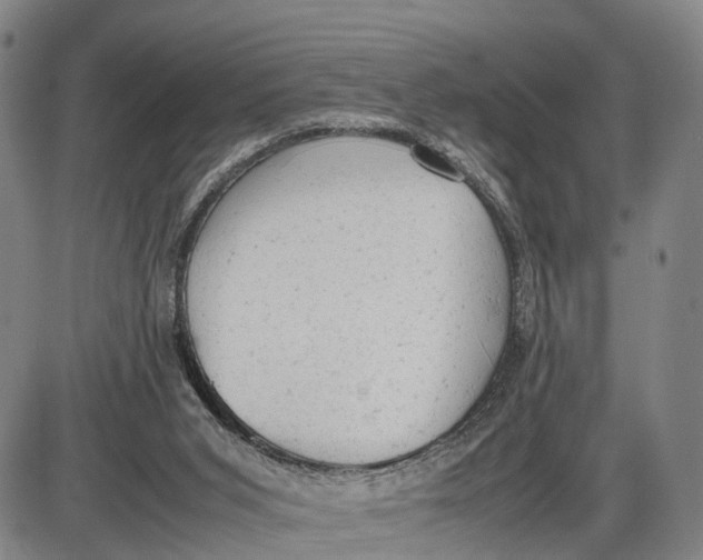 X0000085010015200703261207