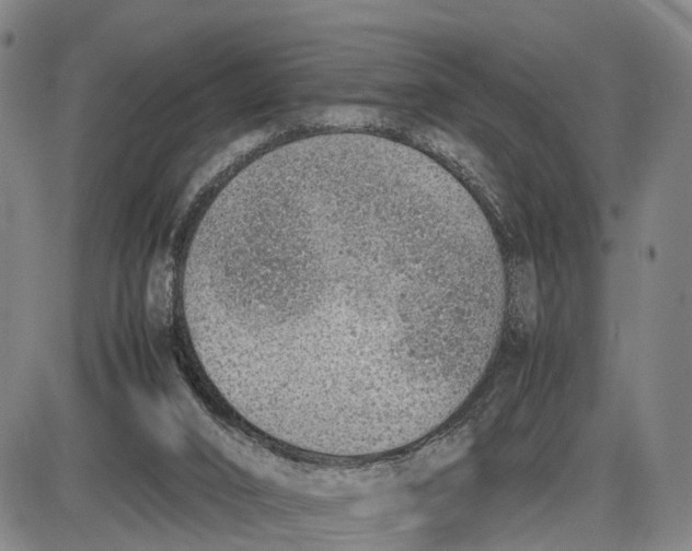 X0000085010016200703261207