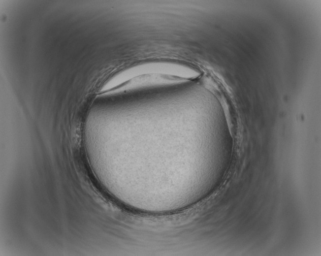 X0000085010017200703261207