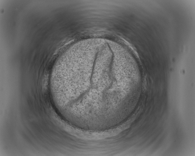 X0000085010018200703261207