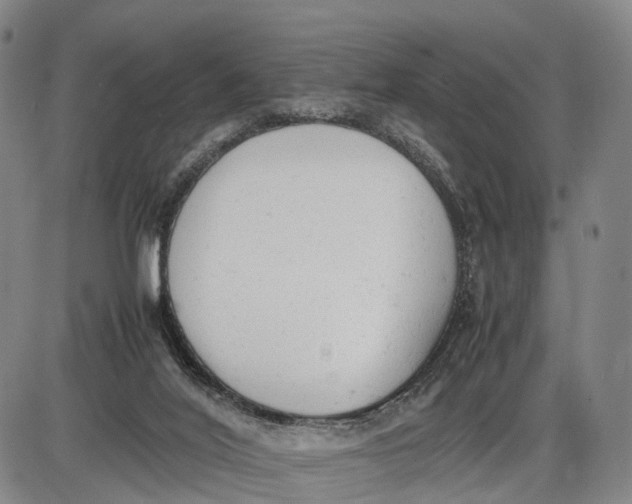 X0000085010020200703261207