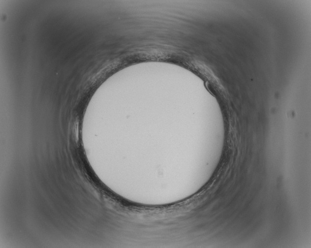 X0000085010021200703261207