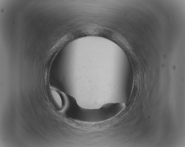 X0000085010023200703261206