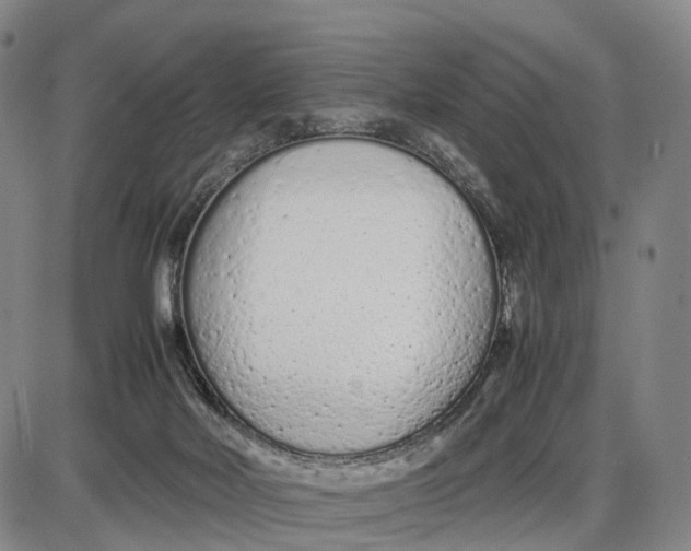 X0000085010026200703261206