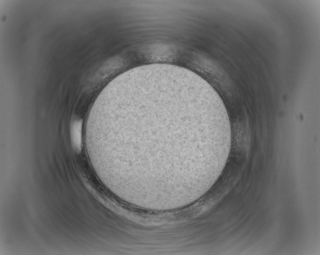 X0000085010028200703261206