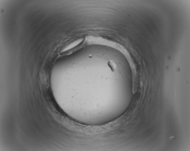 X0000085010031200703261206