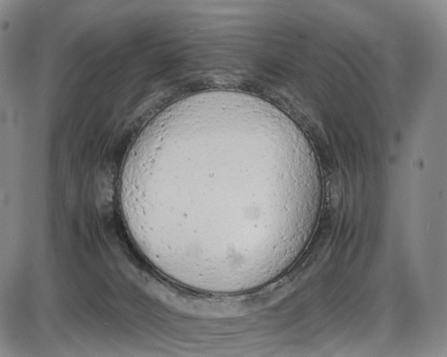 X0000085010032200703261206